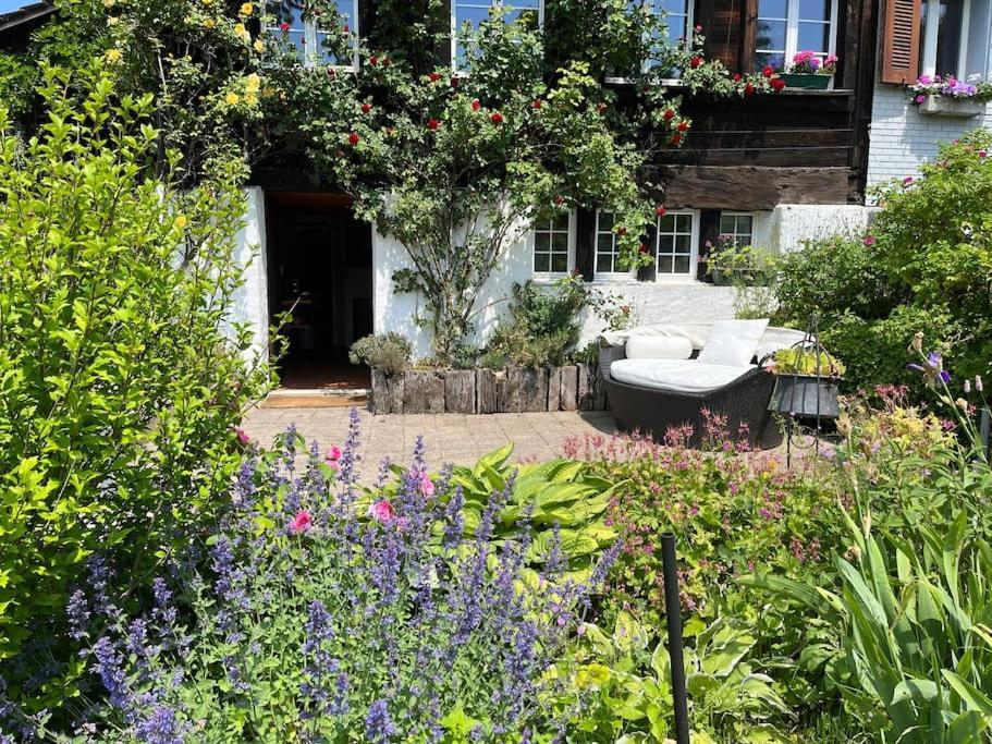 Charming Alps Apartment Perfect For Walk/Cycle/Ski Eschenbach المظهر الخارجي الصورة